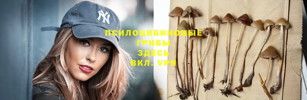 ПСИЛОЦИБИНОВЫЕ ГРИБЫ Алексеевка