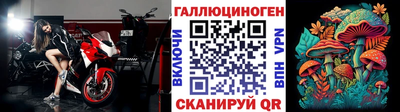 купить   Стародуб  Галлюциногенные грибы мухоморы 